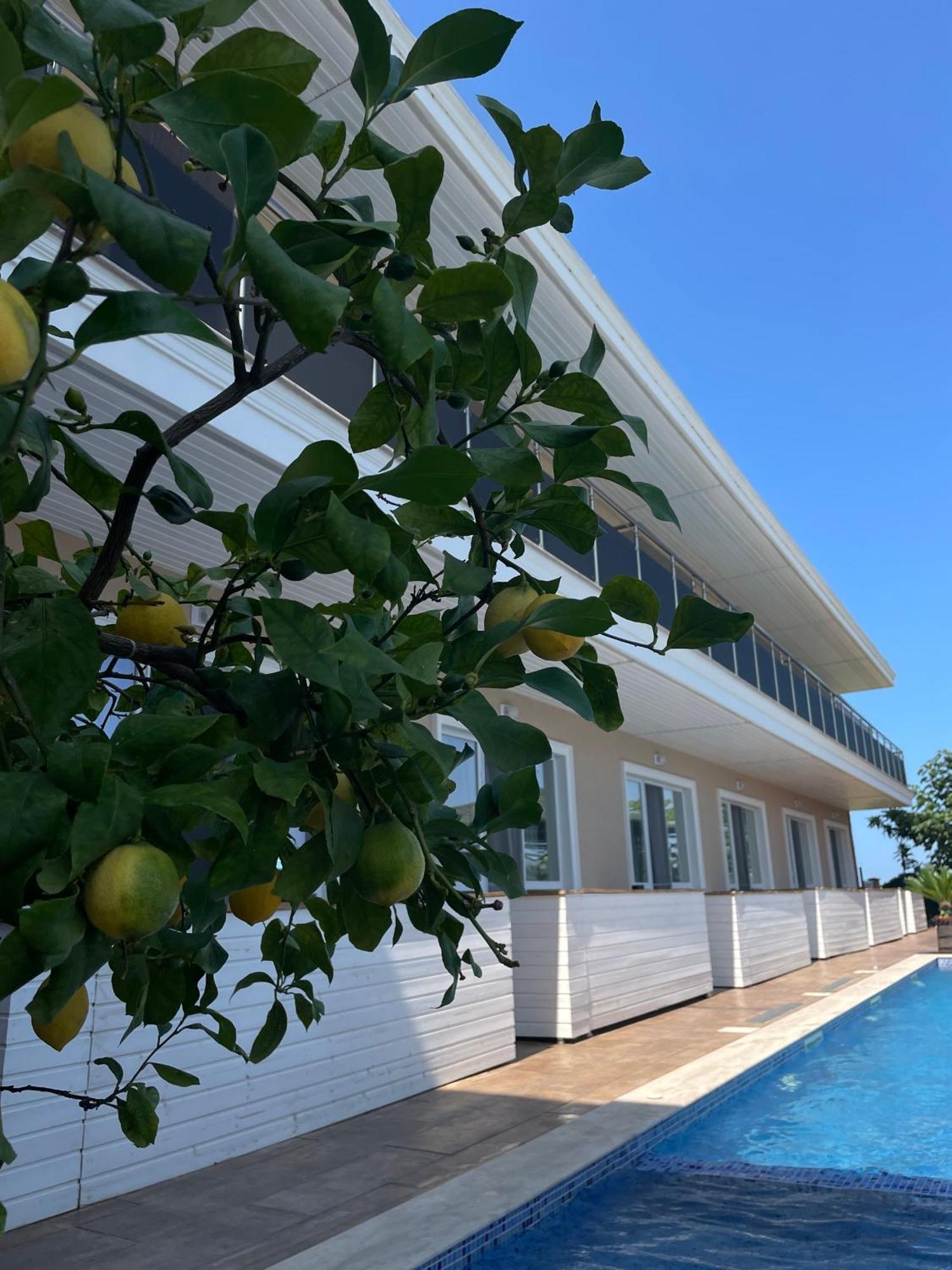 Gradina Holiday โซโซโปล ภายนอก รูปภาพ